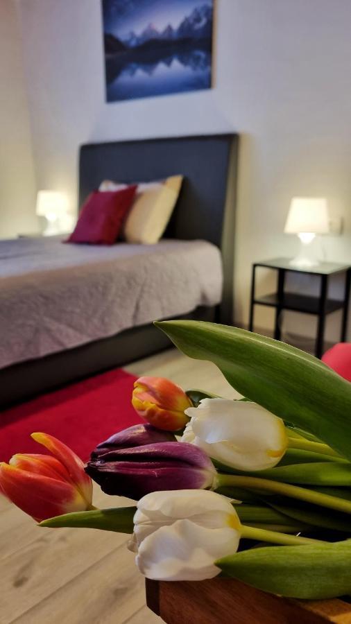Apartment Stradun In The Heart Of Old City Dubrovnik Extérieur photo